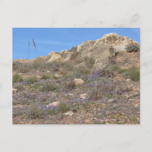 Carte postale Paysage de Chypre (Devant)