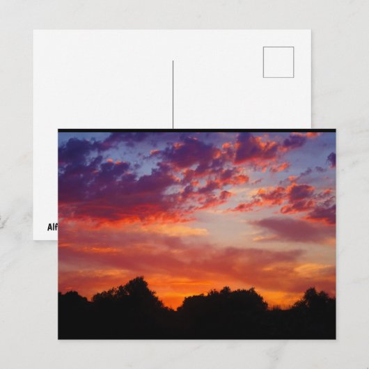 Carte Postale Paysage de coucher de soleil violet (Devant / Derrière)