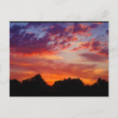 Carte Postale Paysage de coucher de soleil violet (Devant)