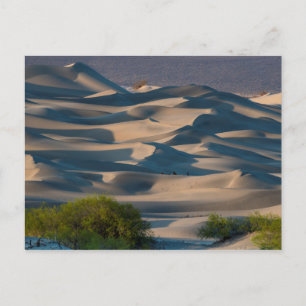 Carte Postale Paysage de dunes de sable, Californie