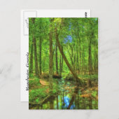 Carte Postale Paysage de Géorgie (Devant / Derrière)