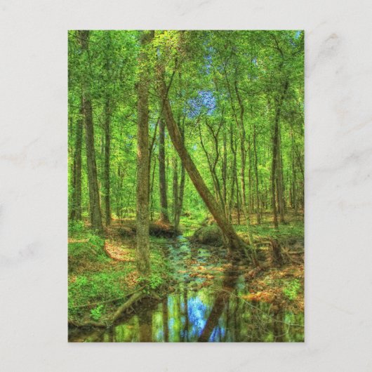 Carte Postale Paysage de Géorgie (Devant)