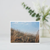 Carte postale Paysage de Hong Kong (Debout devant)