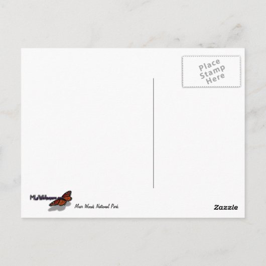 Carte Postale Paysage de la forêt de Muir Woods Stream (Dos)