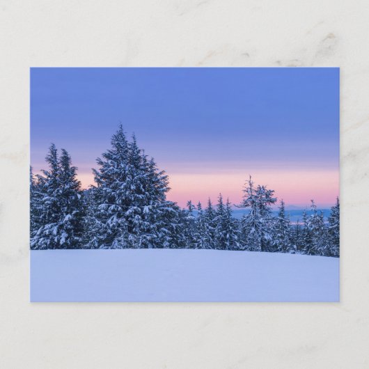 Carte Postale Paysage de la forêt d'hiver au coucher du soleil (Devant)