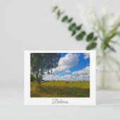 Carte Postale Paysage de la nature Birken Forêt Blanche Russie (Debout devant)