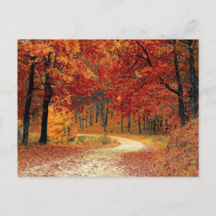 Carte Postale Paysage de la saison rouge d'automne