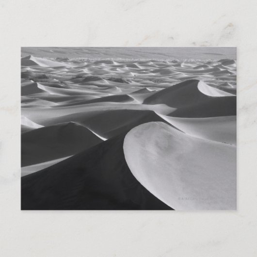 Carte Postale Paysage de la vallée de la Mort (Devant)