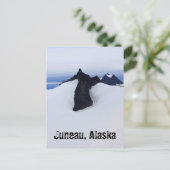 Carte postale paysage de l'Alaska (Debout devant)