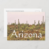 Carte Postale Paysage de l'Arizona Cactus (Devant / Derrière)