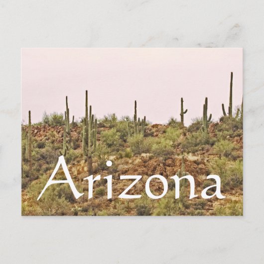 Carte Postale Paysage de l'Arizona Cactus (Devant)