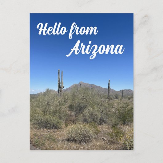 Carte Postale Paysage de l'Arizona Saguaro Cactus Nature (Devant)