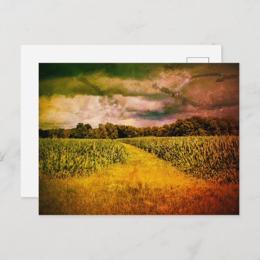 Carte Postale Paysage de l'Illinois (Devant / Derrière)