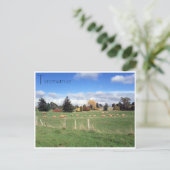 Carte Postale paysage de moutons (Debout devant)