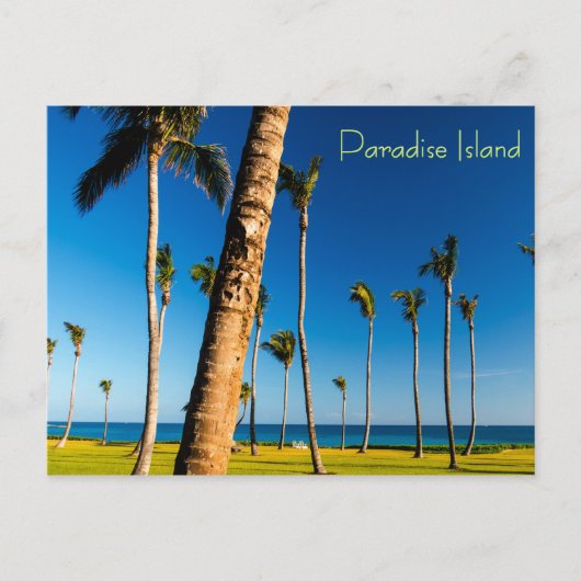 Carte Postale Paysage de Paradise Island (Devant)