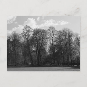 Carte Postale Paysage de parc, Parc Bute, Cardiff, Pays de Galle
