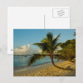 Carte Postale Paysage de plage (Devant / Derrière)