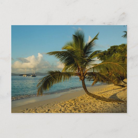 Carte Postale Paysage de plage (Devant)
