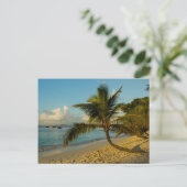 Carte Postale Paysage de plage (Debout devant)