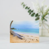 Carte Postale Paysage de plage des Caraïbes (Debout devant)