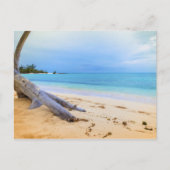 Carte Postale Paysage de plage des Caraïbes (Devant)