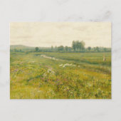 Carte Postale Paysage de prairie étendu avec oies (Devant)