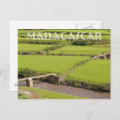 Carte Postale Paysage de rizières à Madagascar (Devant / Derrière)