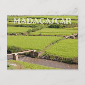 Carte Postale Paysage de rizières à Madagascar
