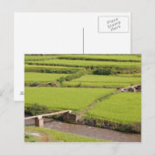 Carte Postale Paysage de rizières à Madagascar (Devant / Derrière)