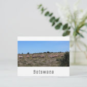 Carte Postale Paysage de savane d'animaux sauvages oryx Botswana (Debout devant)