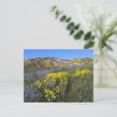 Carte Postale Paysage de terrain Fleur sauvage jaune (Debout devant)