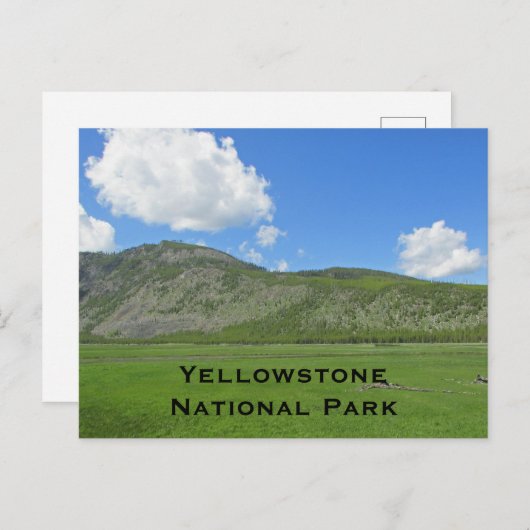 Carte Postale Paysage de Yellowstone Photo Parc national de la m (Devant / Derrière)
