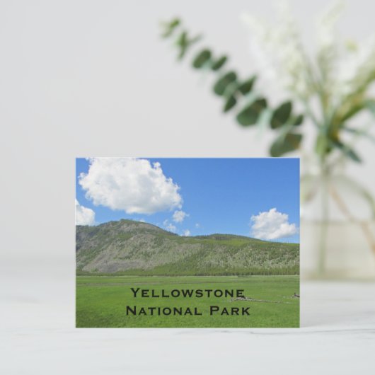 Carte Postale Paysage de Yellowstone Photo Parc national de la m (Debout devant)