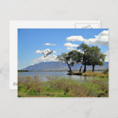 Carte Postale Paysage de Zambie (Devant / Derrière)