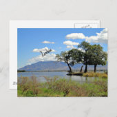Carte Postale Paysage de Zambie (Devant / Derrière)