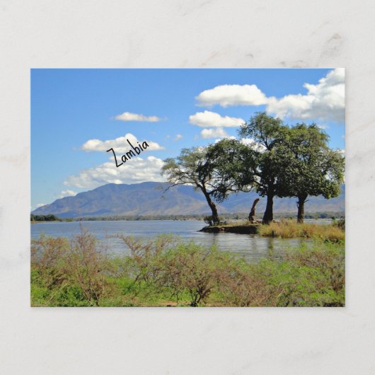 Carte Postale Paysage de Zambie (Devant)