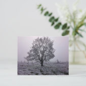 Carte Postale Paysage des arbres d'hiver (Debout devant)