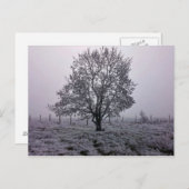 Carte Postale Paysage des arbres d'hiver (Devant / Derrière)