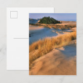 Carte Postale Paysage Des Dunes De Sable De L'Oregon (Devant / Derrière)