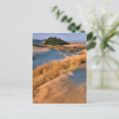 Carte Postale Paysage Des Dunes De Sable De L'Oregon (Debout devant)