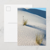 Carte Postale Paysage des dunes du désert du sable blanc (Devant / Derrière)