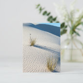 Carte Postale Paysage des dunes du désert du sable blanc (Debout devant)