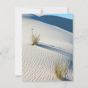 Carte Postale Paysage des dunes du désert du sable blanc