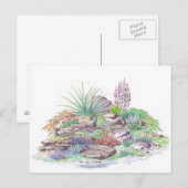 Carte Postale Paysage des jardins alpins (Devant / Derrière)