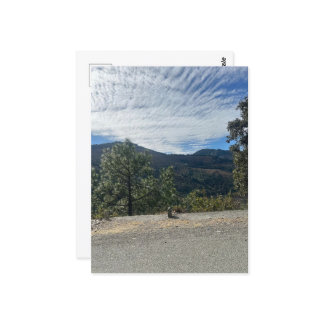 Carte Postale Paysage des montagnes