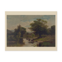 Paysage d'été