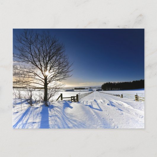 Carte Postale Paysage d'hiver (Devant)
