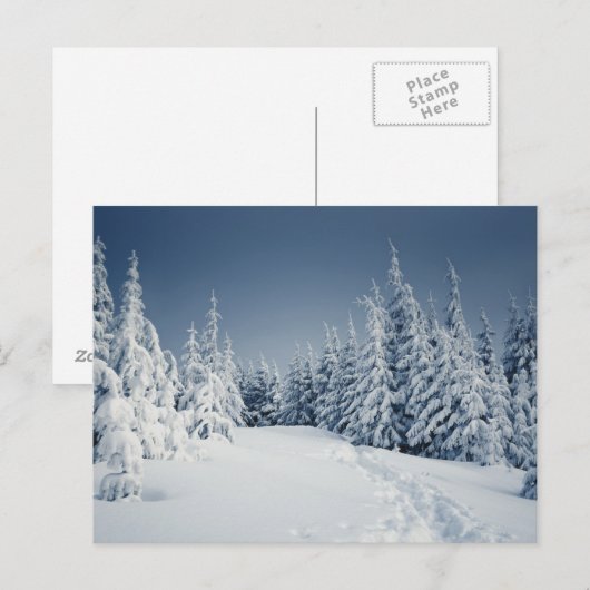 Carte Postale Paysage d'hiver (Devant / Derrière)