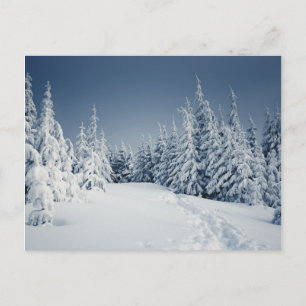 Carte Postale Paysage d'hiver