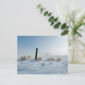 Carte postale Paysage d'hiver (Debout devant)